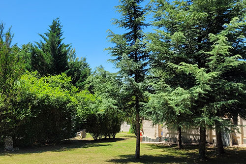 Cabañas Del Rosario