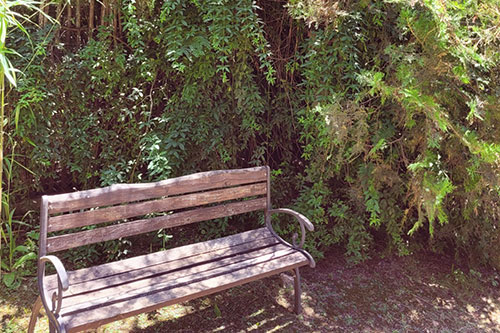 Cabañas Del Rosario