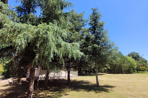 Cabañas Del Rosario